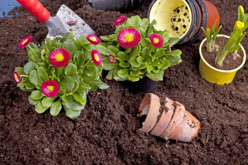 Lawn mower and gardener preparing equipment in a residential garden