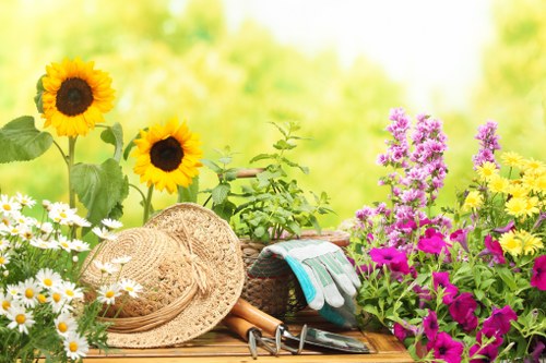 In a vibrant outdoor garden setting, a wooden table is arranged with gardening tools, including a woven basket, a straw hat, gloves, pruning shears, and a small hand rake, all placed among a variety of flowering plants and greenery. To the left, bright yellow sunflowers with dark centers stand tall, complemented by clusters of white daisies and purple flowering plants on the right. The background features a blurred, lush green environment with soft sunlight filtering through, suggesting a warm, sunny day typical of the Barnes area in south-west London. The scene captures a well-maintained garden space on the brink of gardening activity, reflecting the natural tones of the plants and the textures of the garden tools, making it ideal for a gardening or landscaping services website like lawnmowingbarnes.co.uk to showcase outdoor garden care and maintenance offerings.